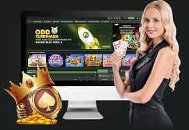 Live Casino Card Games fly88